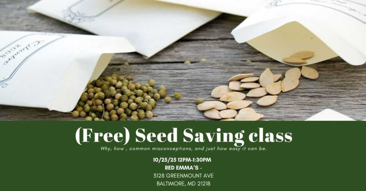 Seed Saving Workshop w/ Master Gardener Maura Housely